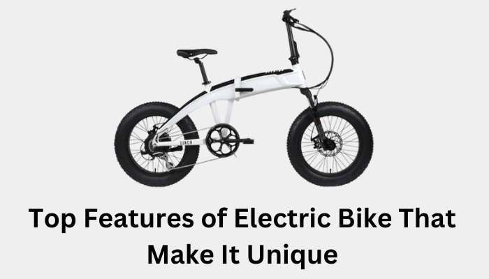 Features of Electric Bike