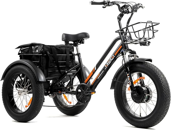 Three Wheel Electric Bike