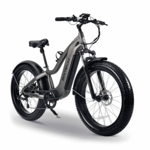 Bintelli Electric Bike